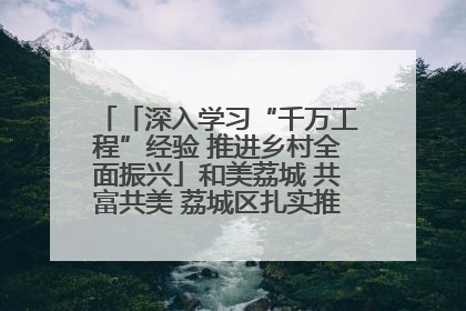 「深入学习“千万工程”经验 推进乡村全面振兴」和美荔城 共富共美 荔城区扎实推进乡村振兴工作